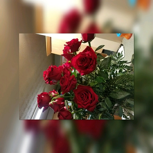 decorious24